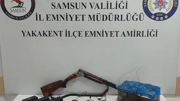 Samsun'da Kaçak Avcılık Düzeneği Çöktü