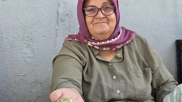 Samsun'da kaldırımlar bamya tezgâhına döndü