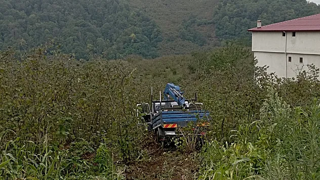 Samsun'da Kamyonet Fındık Bahçesine Yuvarlandı: 3 Yaralı