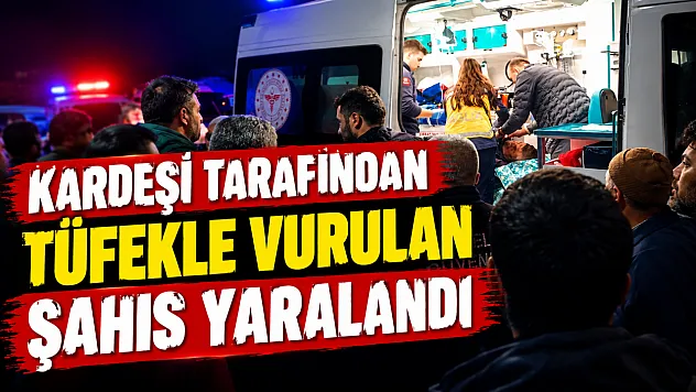 Samsun'da kardeşi tarafından tüfekle vuruldu