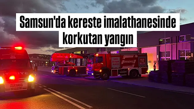 Samsun'da kereste imalathanesinde yangın paniği