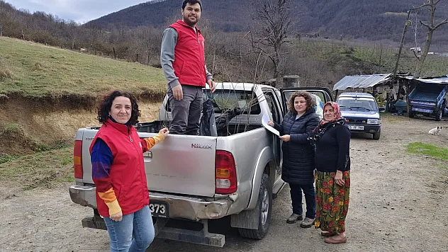 Samsun'da kestane üretimine destek: 53 üreticiye fidan dağıtıldı