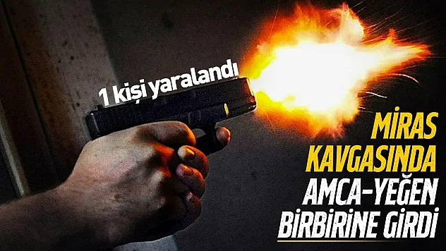 Samsun'da miras kavgası: Amca ile yeğen karşı karşıya geldi
