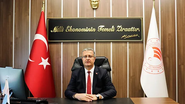 Samsun'da Mısır Üreticilerine Kahverengi Kokarca Uyarısı