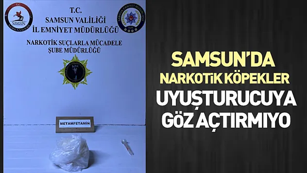 Samsun'da Narkotik köpekler uyuşturucuya göz açtırmıyor