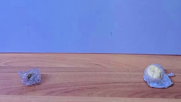 Samsun'da Narkotik Operasyonu: 2 Şahıs Tutuklandı