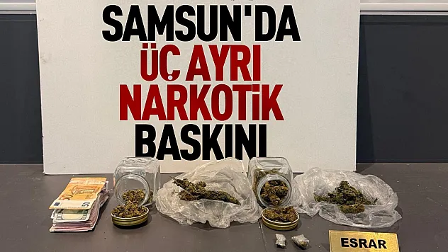 Samsun'da narkotik operasyonu