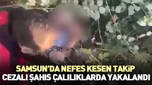 Samsun'da Nefes Kesen Takip: 7 Yıl Cezalı Şahıs Çalılıklarda Yakalandı