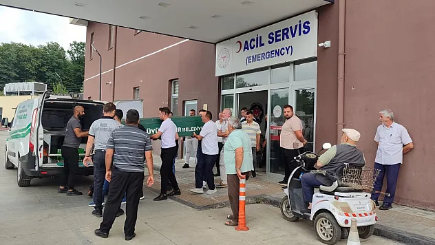 Samsun'da ot biçme makinesinin altında kalan kişi öldü