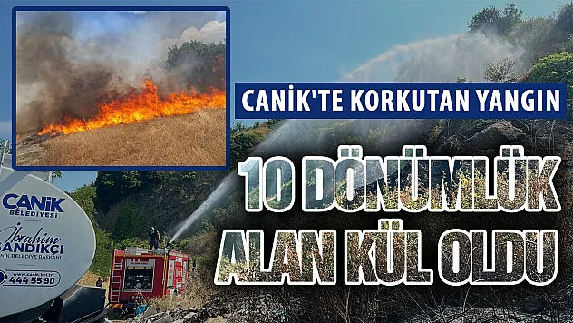 Samsun'da Otluk Alan Yangını: 10 Dönüm Zarar Gördü