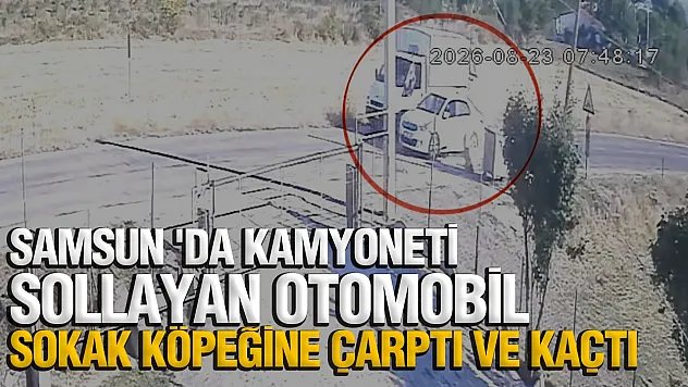 Samsun'da otomobil köpeğe çarptı arkasına bakmadan kaçtı