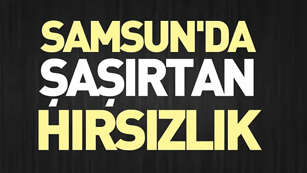 Samsun'da Şaşırtan Hırsızlık