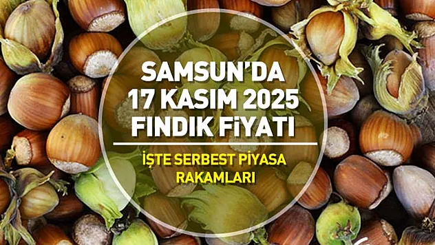 Samsun'da Serbest Piyasa Fındık Fiyatları | 17 Kasım 2025