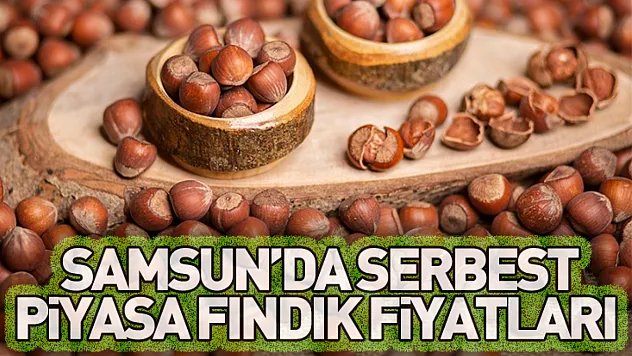 Samsun'da Serbest Piyasa Fındık Fiyatları