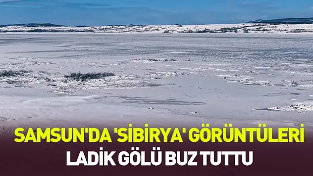 Samsun'da 'Sibirya' görüntüleri: Ladik gölü buz tuttu