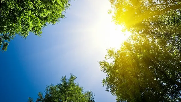 Samsun'da sıcak hava neşesi