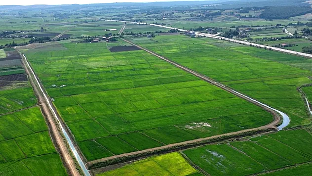 Samsun'da tarımsal alanlara 963 bin TL ceza