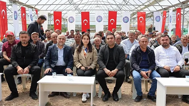 Samsun'da üreticilere 120 bin fide ücretsiz dağıtıldı