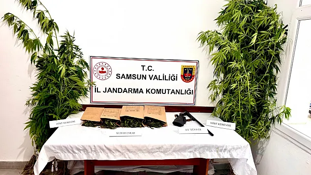 Samsun'da uyuşturucu operasyonu: 51 kök kenevir ve kubar esrar ele geçirildi