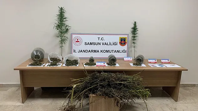Samsun'da uyuşturucu operasyonu : 1 gözaltı