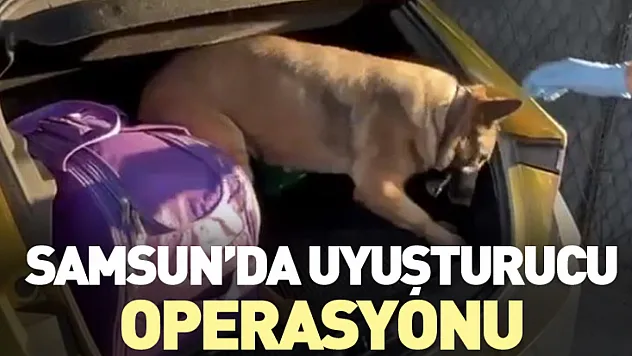 Samsun'da Uyuşturucu Operasyonu