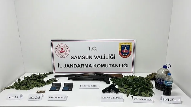 Samsun da uyuşturucu, silah ve kenevir ele geçirildi