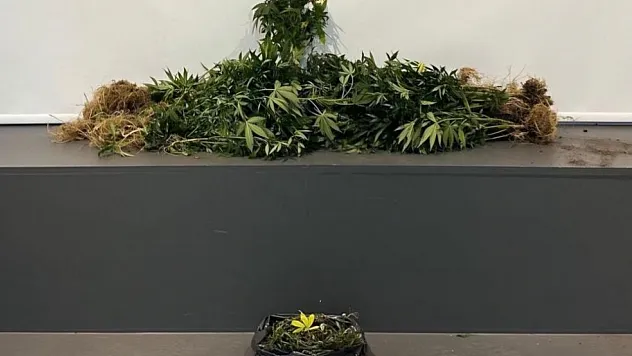 Samsun'da Uyuşturucu Tacirlerine Geçit Yok