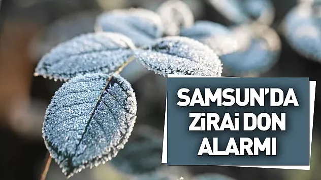 Samsun'da zirai don alarmı: Üreticilere tedbirinizi alın uyarısı!