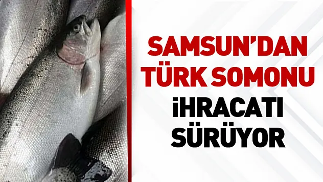 Samsun'dan Türk somonu ihracatı sürüyor