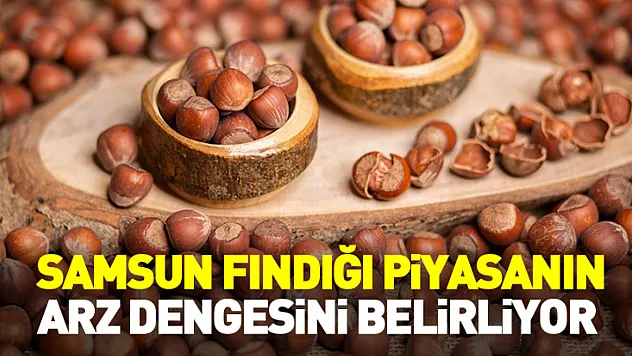 Samsun Fındığı Piyasanın Arz Dengesini Belirliyor