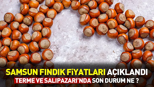 Samsun Fındığında Bekleyiş Sürüyor |22 Nisan'da Fiyatlar Ne Durumda?
