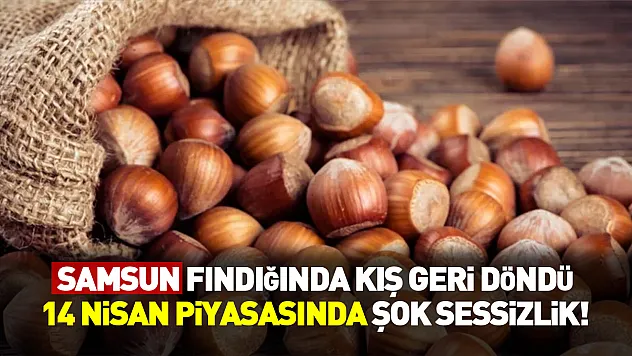 Samsun Fındığında Kış Geri Döndü: 14 Nisan Piyasasında Şok Sessizlik!