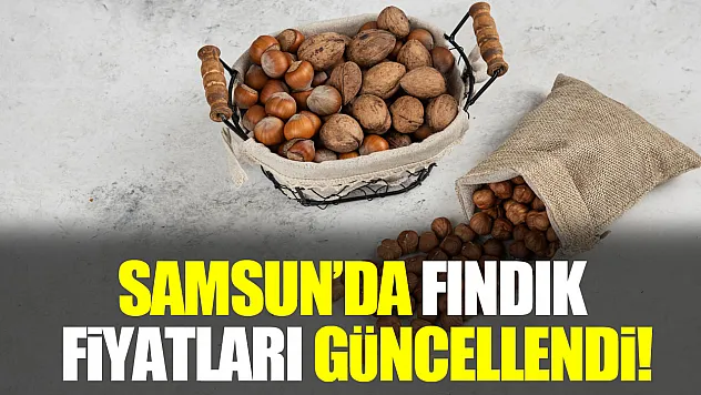 Samsun Fındığında 'Sessiz ve Derinden' Yükseliş: 170 TL Barajı Kalıcılaşıyor!