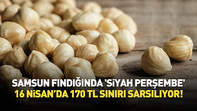 Samsun Fındığında 'Siyah Perşembe' | 16 Nisan'da 170 TL Sınırı Sarsılıyor!