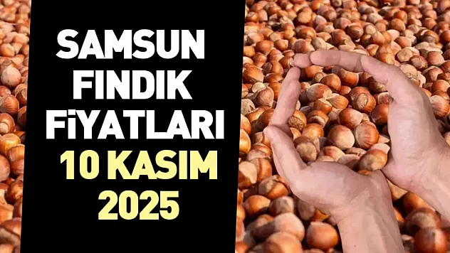Samsun Fındık Fiyatları 10 Kasım 2025: Piyasa Yukarı Yönlü Seyrini Koruyor