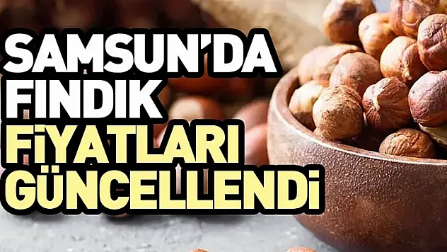 27 Mart 2026 Samsun Fındık Fiyatları Çakıldı! Çarşamba ve Terme'de Şok Düşüş