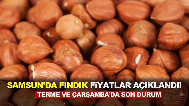 Samsun Fındık Piyasasında Hafta Sonu Sessizliği | 25 Nisan'da Gözler Gelecek Haftaya Çevrildi!