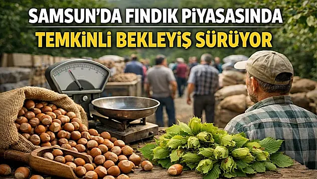 Samsun fındık piyasasında temkinli bekleyiş! | Terme ve Çarşamba'da rekabet sürüyor (26 Mart 2026)