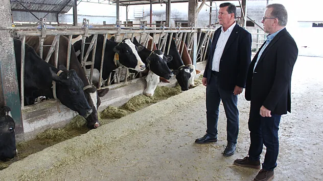 Samsun İli Damızlık Sığır Yetiştiricileri Birliğinden büyük başarı