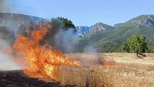 Samsun İtfaiyesi'nden müthiş başarı!