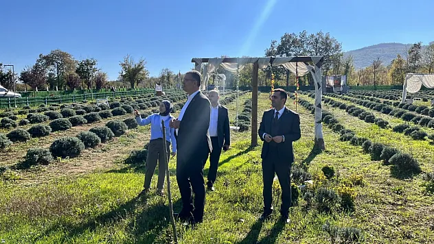 Samsun Kavak'ta kadın girişimciden tarımsal çeşitliliğe örnek üretim