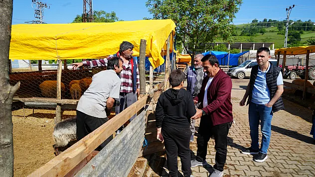 Samsun Kurban Pazarlarında ikinci gün yoğunluğu!
