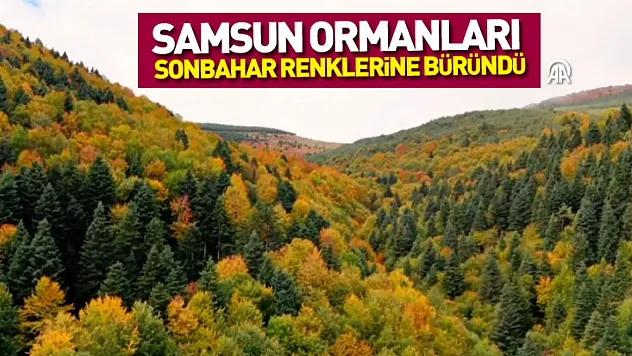 Samsun Ormanları Sonbahar Renklerine Büründü