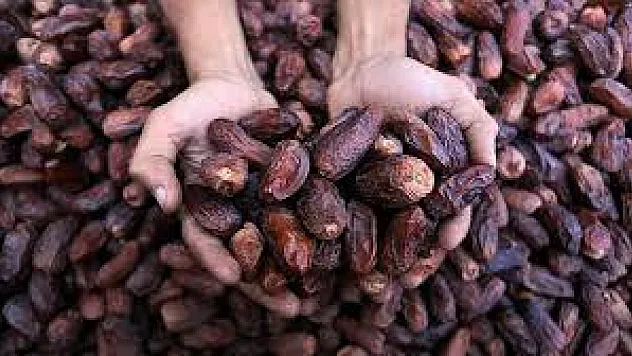 Samsun sofralarının iftarda baş tacı hurmanın faydaları nelerdir ?