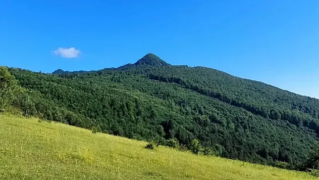 Samsun'un bereketli topraklarında onlarca ürün yetiştiriliyor