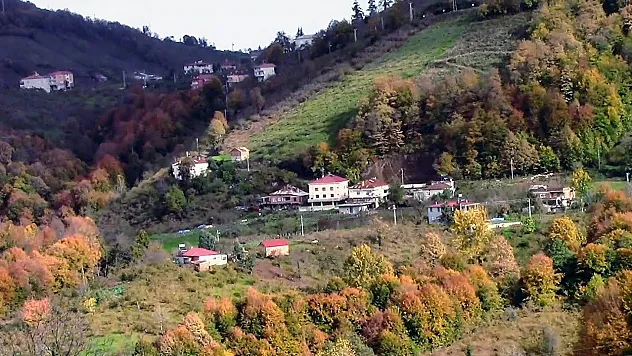 Samsun'un En Güzel Köyü Belli Oldu: Burada Oturanlar Zengin Olacak