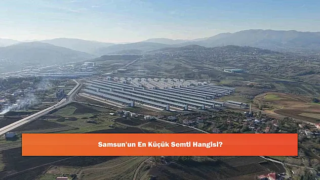 Samsun'un En Küçük Semti Hangisi?