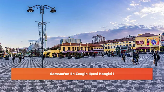 Samsun'un En Zengin İlçesi Hangisi?