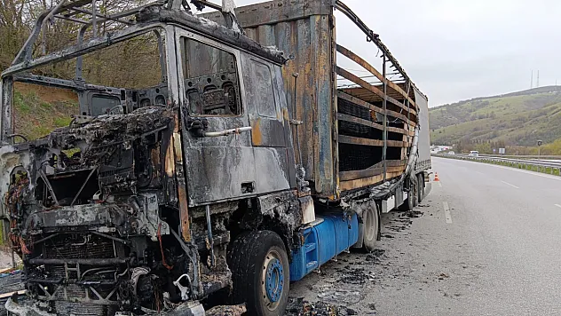 Samsun'un Kavak ilçesinde ahşap yüklü tır alevlere teslim oldu
