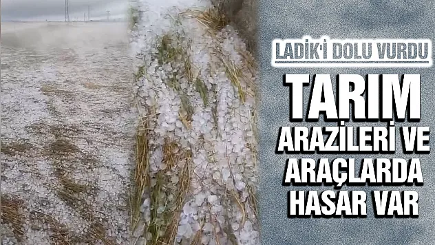 Samsun'un Ladik ilçesini dolu vurdu!